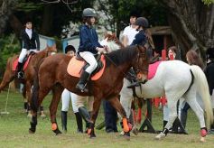Foto de la galería: Torneo de equitación en el campo hípico del Ejército Argentino en Posadas