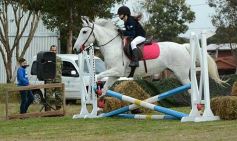Foto de la galería: Torneo de equitación en el campo hípico del Ejército Argentino en Posadas