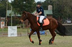 Foto de la galería: Torneo de equitación en el campo hípico del Ejército Argentino en Posadas