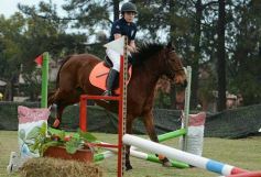 Foto de la galería: Torneo de equitación en el campo hípico del Ejército Argentino en Posadas