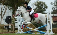 Foto de la galería: Torneo de equitación en el campo hípico del Ejército Argentino en Posadas