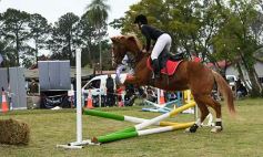 Foto de la galería: Torneo de equitación en el campo hípico del Ejército Argentino en Posadas