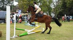 Foto de la galería: Torneo de equitación en el campo hípico del Ejército Argentino en Posadas