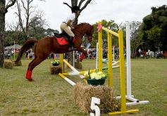 Foto de la galería: Torneo de equitación en el campo hípico del Ejército Argentino en Posadas