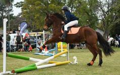 Foto de la galería: Torneo de equitación en el campo hípico del Ejército Argentino en Posadas
