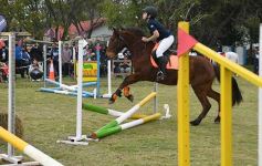 Foto de la galería: Torneo de equitación en el campo hípico del Ejército Argentino en Posadas