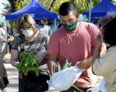 Foto de la galería: Trabajo y festejo en el 26° aniversario de las Ferias Francas en Misiones