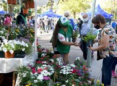 Foto de la galería: Trabajo y festejo en el 26° aniversario de las Ferias Francas en Misiones