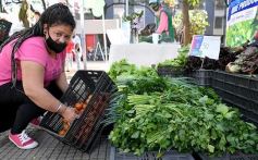 Foto de la galería: Trabajo y festejo en el 26° aniversario de las Ferias Francas en Misiones