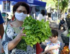 Foto de la galería: Trabajo y festejo en el 26° aniversario de las Ferias Francas en Misiones