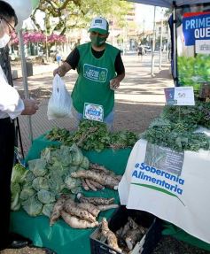 Foto de la galería: Trabajo y festejo en el 26° aniversario de las Ferias Francas en Misiones