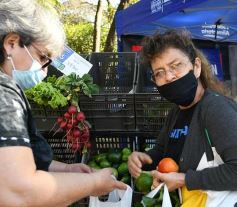 Foto de la galería: Trabajo y festejo en el 26° aniversario de las Ferias Francas en Misiones