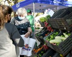 Foto de la galería: Trabajo y festejo en el 26° aniversario de las Ferias Francas en Misiones