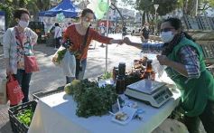 Foto de la galería: Trabajo y festejo en el 26° aniversario de las Ferias Francas en Misiones