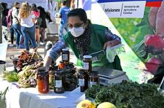 Foto de la galería: Trabajo y festejo en el 26° aniversario de las Ferias Francas en Misiones