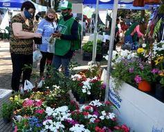 Foto de la galería: Trabajo y festejo en el 26° aniversario de las Ferias Francas en Misiones