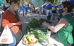 Foto de la galería: Trabajo y festejo en el 26° aniversario de las Ferias Francas en Misiones