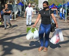 Foto de la galería: Trabajo y festejo en el 26° aniversario de las Ferias Francas en Misiones