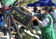 Foto de la galería: Trabajo y festejo en el 26° aniversario de las Ferias Francas en Misiones