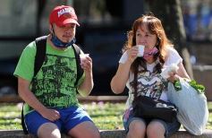 Foto de la galería: Trabajo y festejo en el 26° aniversario de las Ferias Francas en Misiones