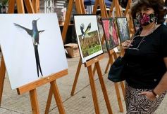 Foto de la galería: Amigos y buena onda en la recorridas por la ciudad capital