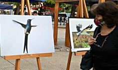 Foto de la galería: Amigos y buena onda en la recorridas por la ciudad capital