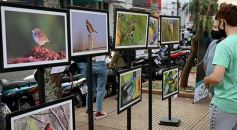 Foto de la galería: Amigos y buena onda en la recorridas por la ciudad capital