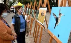 Foto de la galería: Amigos y buena onda en la recorridas por la ciudad capital