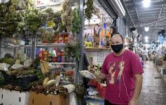 Foto de la galería: Mercado Modelo "La Placita", más de seis décadas de historia en Posadas