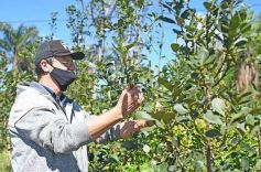 Foto de la galería: Granja Tierra Colorada, emprendimiento y producción con sello misionero