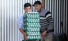 Foto de la galería: Granja Tierra Colorada, emprendimiento y producción con sello misionero