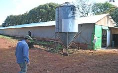Foto de la galería: Granja Tierra Colorada, emprendimiento y producción con sello misionero