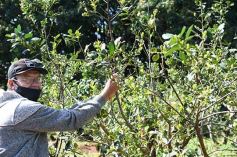 Foto de la galería: Granja Tierra Colorada, emprendimiento y producción con sello misionero