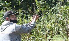 Foto de la galería: Granja Tierra Colorada, emprendimiento y producción con sello misionero