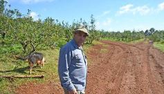 Foto de la galería: Granja Tierra Colorada, emprendimiento y producción con sello misionero