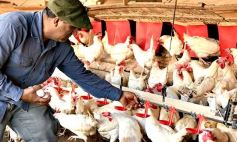 Foto de la galería: Granja Tierra Colorada, emprendimiento y producción con sello misionero