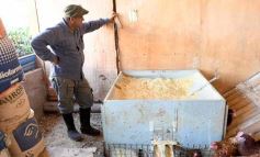 Foto de la galería: Granja Tierra Colorada, emprendimiento y producción con sello misionero