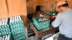 Foto de la galería: Granja Tierra Colorada, emprendimiento y producción con sello misionero