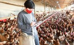 Foto de la galería: Granja Tierra Colorada, emprendimiento y producción con sello misionero