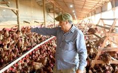 Foto de la galería: Granja Tierra Colorada, emprendimiento y producción con sello misionero