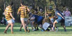 Foto de la galería: CAPRI sumó su segunda victoria en el Torneo Súper 8 de Rugby