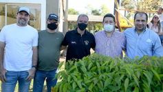 Foto de la galería: CAPRI sumó su segunda victoria en el Torneo Súper 8 de Rugby