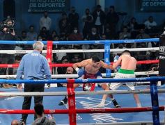 Foto de la galería: Velada estelar en el regreso del boxeo profesional en Posadas