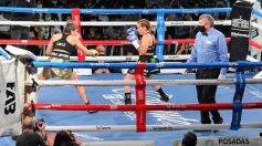 Foto de la galería: Velada estelar en el regreso del boxeo profesional en Posadas