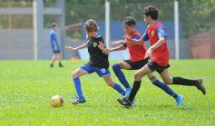 Foto de la galería: Talentos infantiles de Posadas aspiran al sueño xeneize