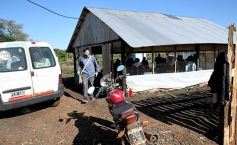Foto de la galería: Producción y cría de conejos, una apuesta al trabajo y rentabilidad en Posadas