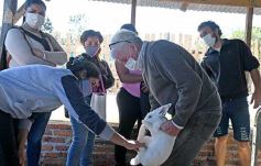 Foto de la galería: Producción y cría de conejos, una apuesta al trabajo y rentabilidad en Posadas