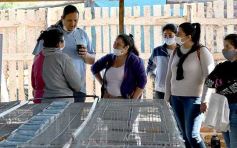 Foto de la galería: Producción y cría de conejos, una apuesta al trabajo y rentabilidad en Posadas