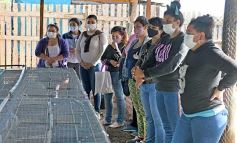 Foto de la galería: Producción y cría de conejos, una apuesta al trabajo y rentabilidad en Posadas