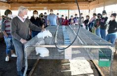 Foto de la galería: Producción y cría de conejos, una apuesta al trabajo y rentabilidad en Posadas